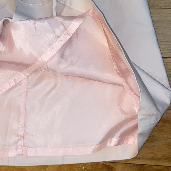Vince Camuto Front Pleat Light Pink Skirt, size 6P, lined, EUC - Picture 4 of 6